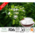 Haute Qualité 100% Naturel Organique Stevia Feuille Sucre Usine Extrait De Gros Prix Pour Édulcorant